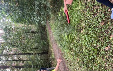 IMG_9767.jpeg
