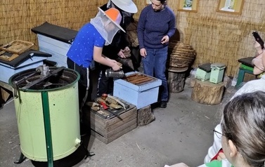 mniszki 6