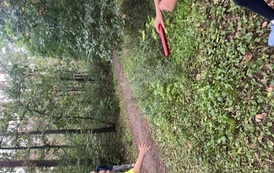 IMG_9767.jpeg