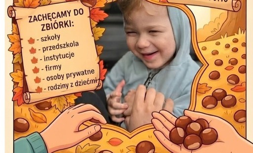 Zdjęcie do ZBI&Oacute;RKA KASZTAN&Oacute;W DLA OLIWIERA